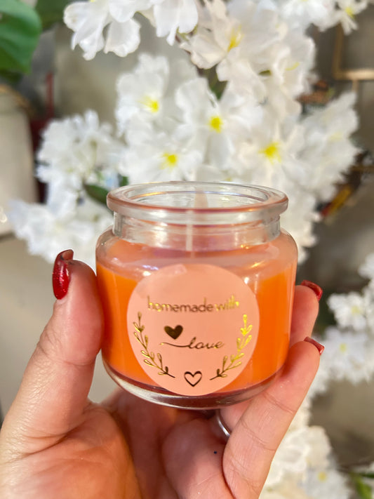 Alma Magnética 💗